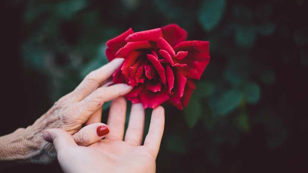 Você tem uma relação de amor e ódio com sua mãe? Numerologia revela