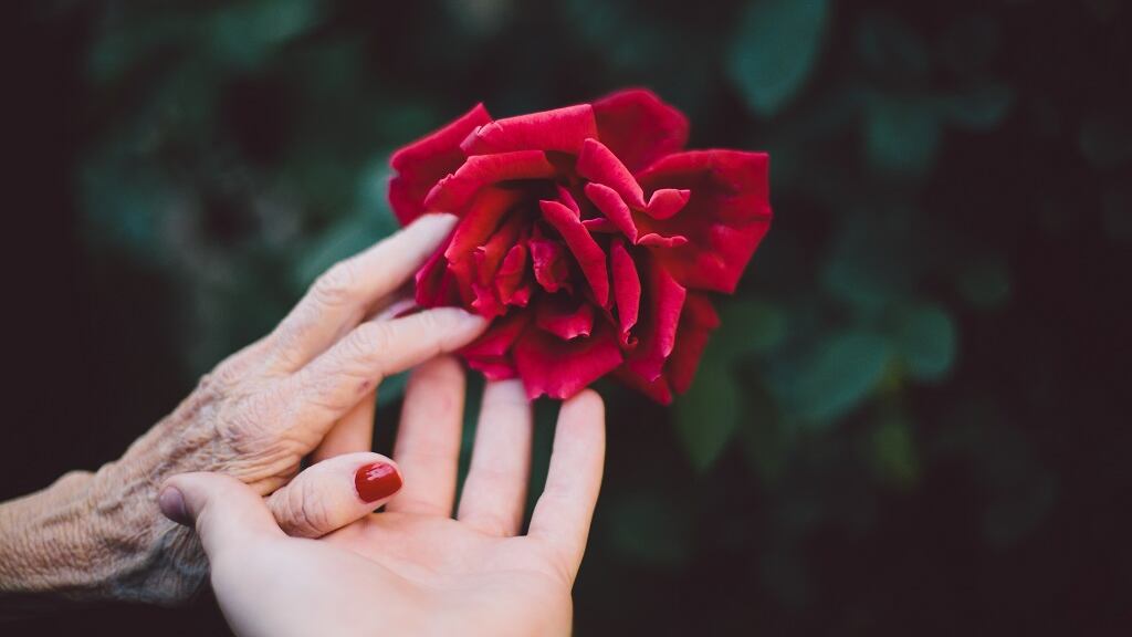 Você tem uma relação de amor e ódio com sua mãe? Numerologia revela