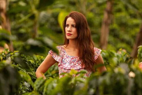 Café com Aroma de Mulher: o motivo que levou William e Laura a brigarem