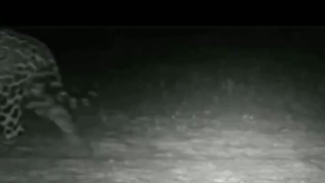 disputa de território