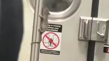 Rato performer diverte passageiros e viraliza com show de ‘pole dance’ inesperado no metrô