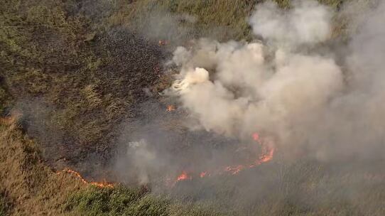 Socorristas atuaram no combate ao fogo