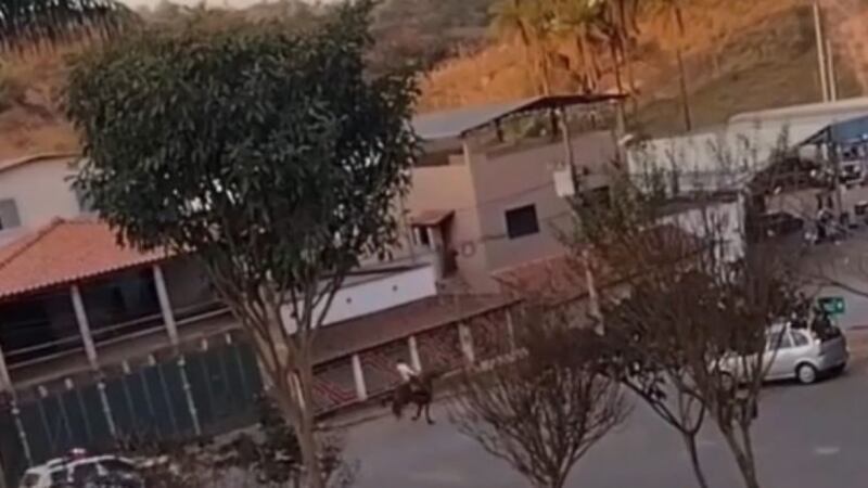 Caso ocorreu em cidade de Santa Catarina