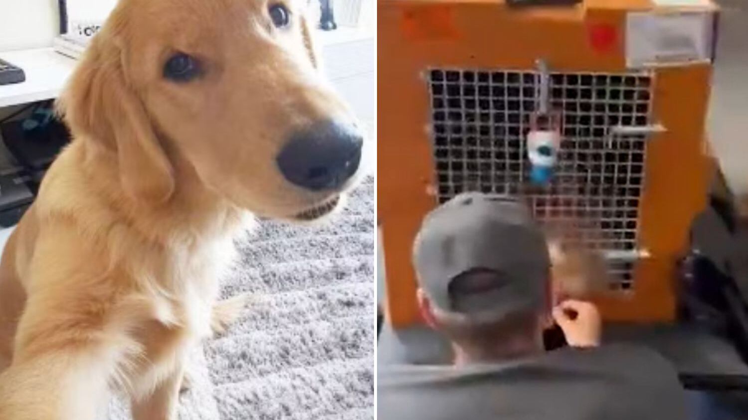 Ele foi levado para a cidade errada e não resistiu