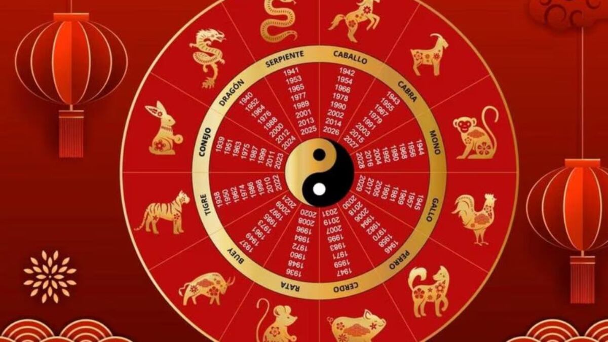 Horóscopo chino: los 3 animales que con la Luna Nueva tendrán suerte y nuevas oportunidades en el amor