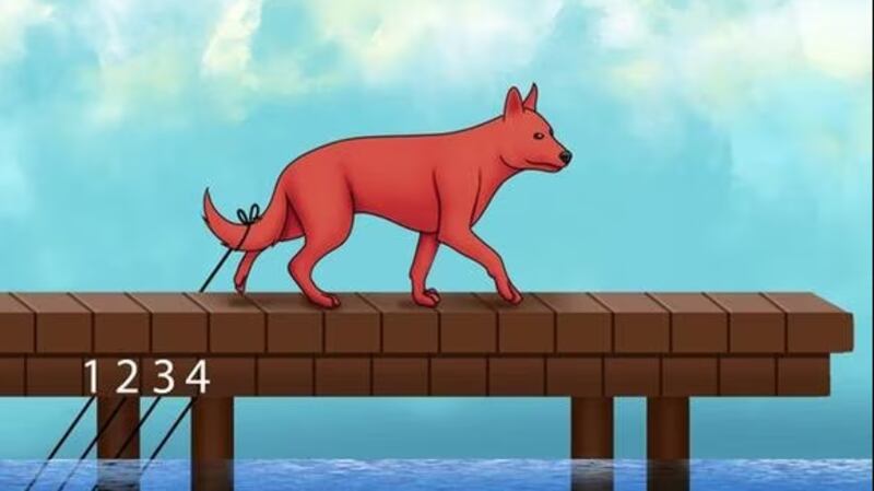 Somente mentes CURIOSAS conseguem dizer em qual corda está PRESO o rabo do cachorro