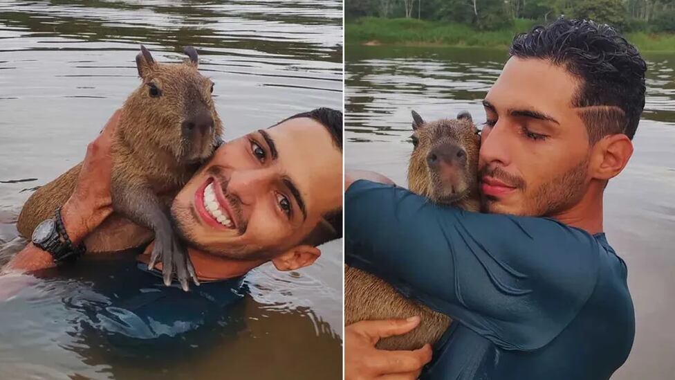 Após capivara Filó ser barrada, Agenor Tupinambá aparece com outro animal na internet