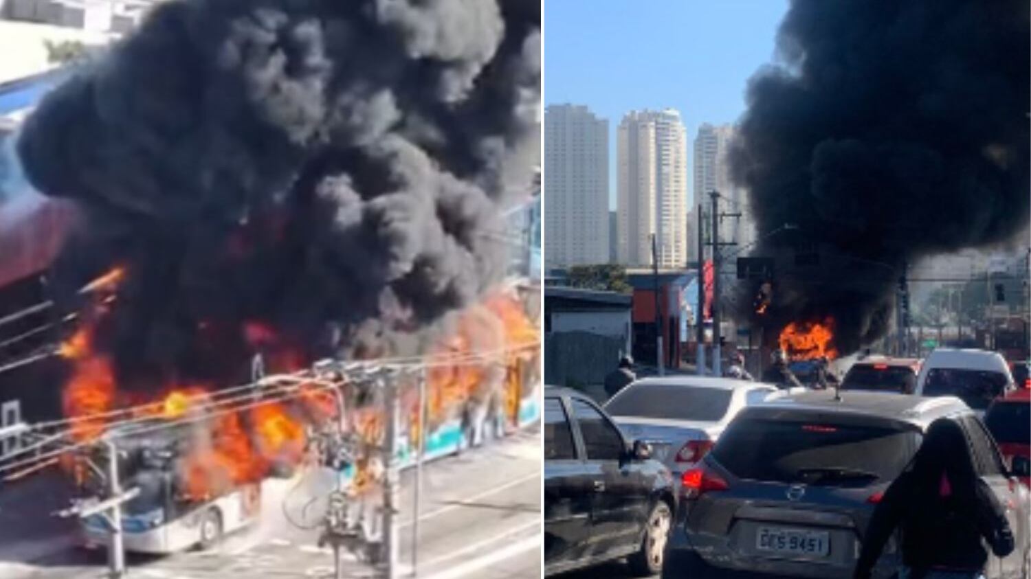Cena chamou atenção e causou trânsito no local