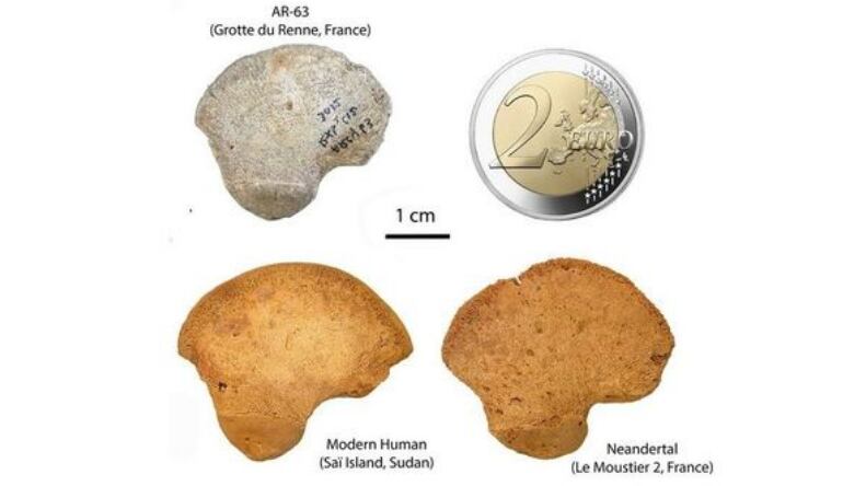 Pesquisadores acreditam ter encontrado ossos de uma espécie humana desconhecida