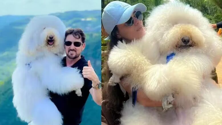 Fotos: reprodução / Instagram @bredypett