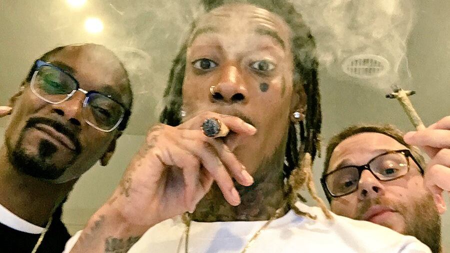 Descubra algumas celebridades que entraram para o mercado da cannabis