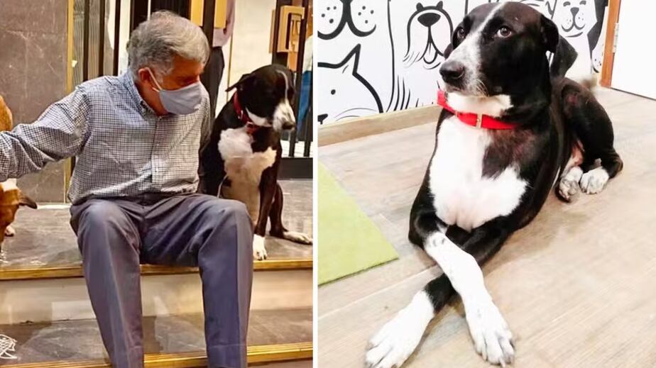 Foto: Reprodução/ Instagram