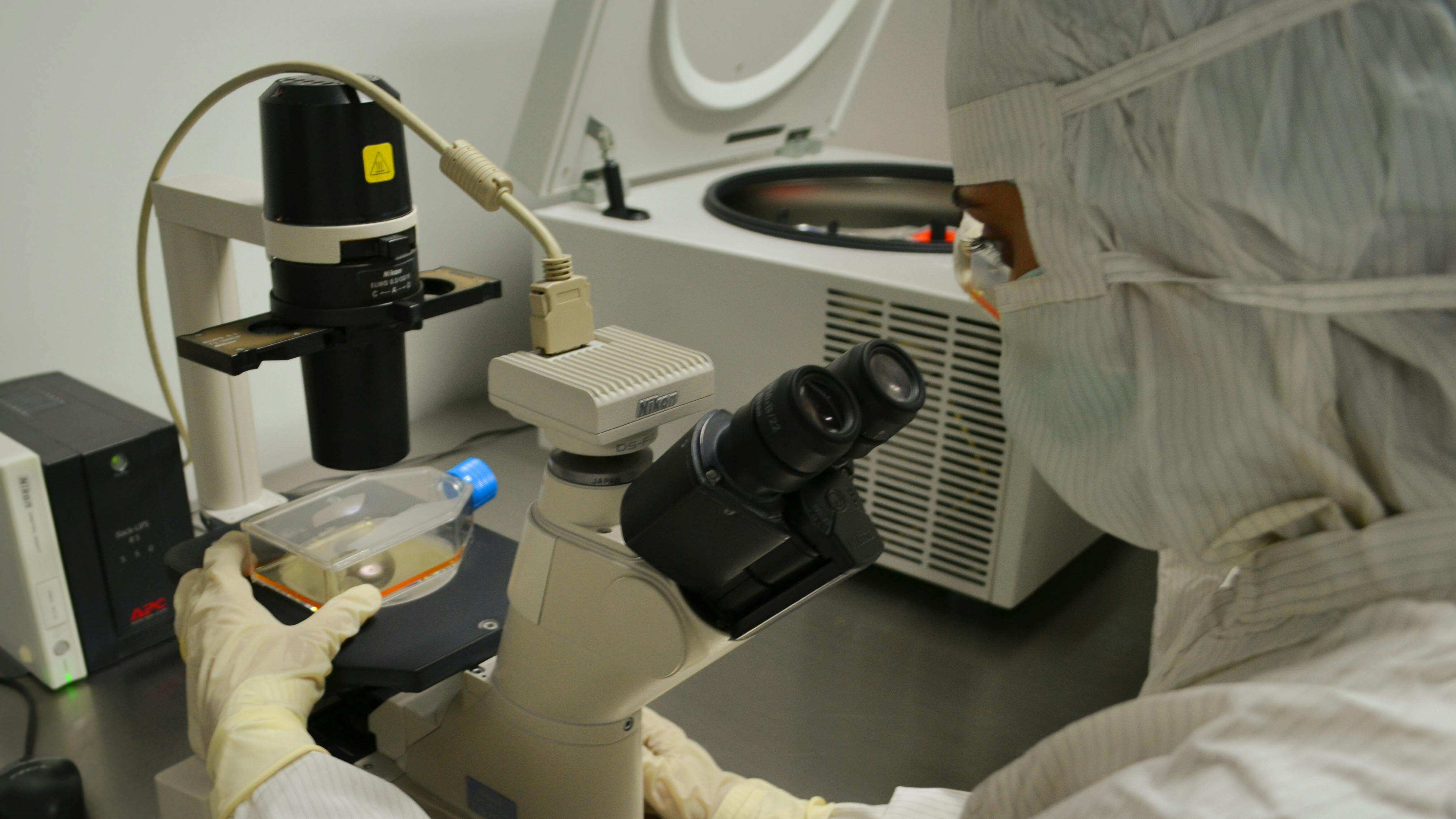 Nipah: saiba mais sobre o vírus que matou adolescente indiano e pode causar uma pandemia