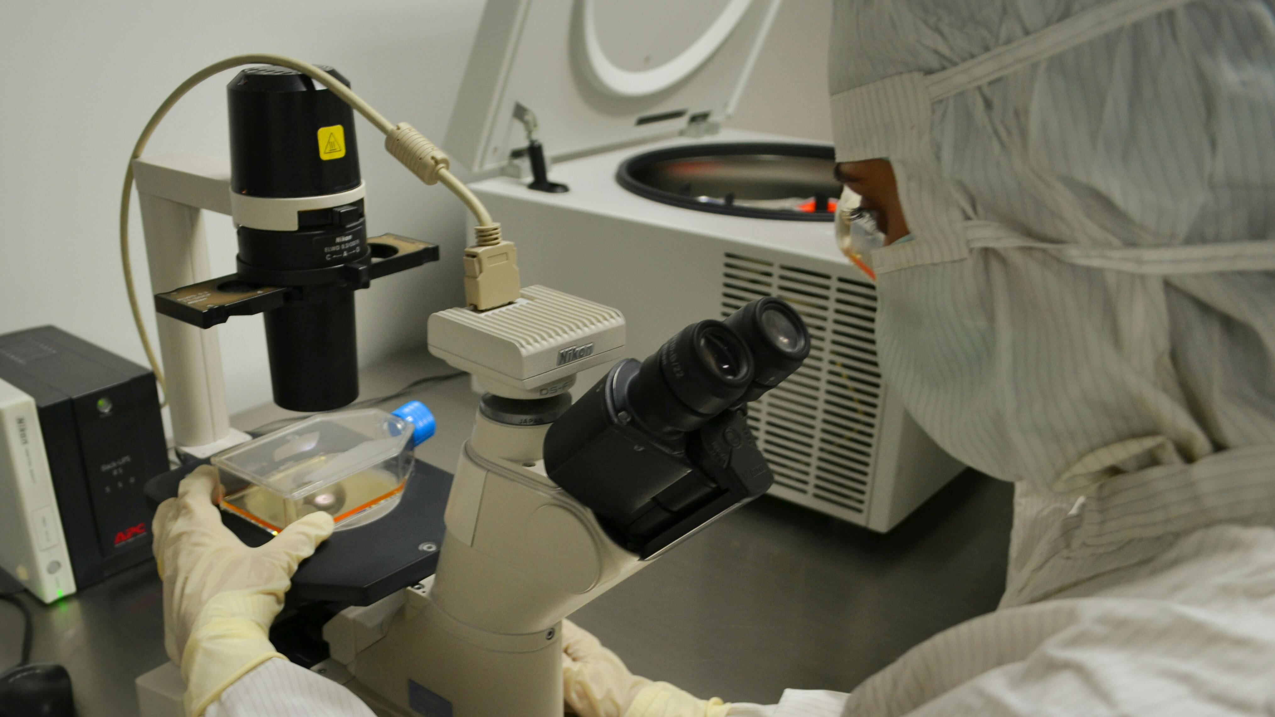 Nipah: saiba mais sobre o vírus que matou adolescente indiano e pode causar uma pandemia