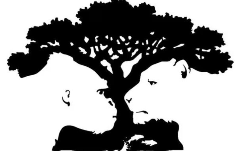 Imagen del test visual