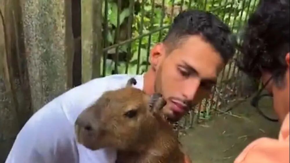 Ibama voltou a criticar medida