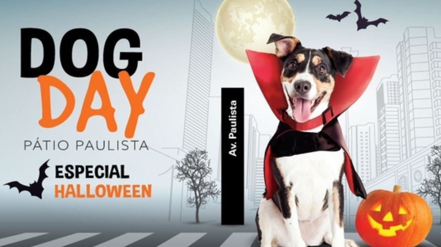 Essa é a segunda edição do Dog Day