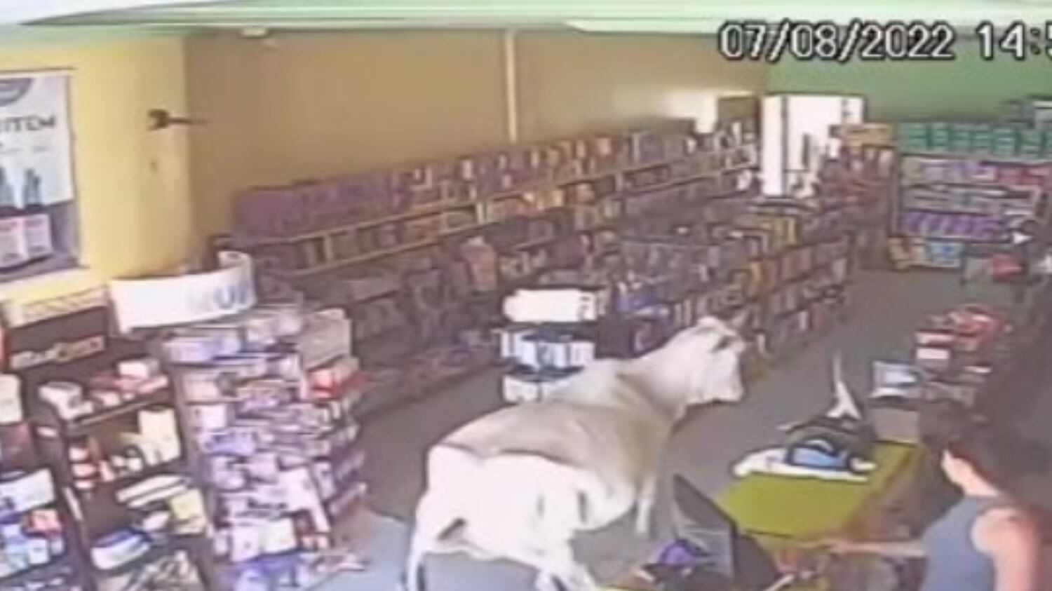 Caso viralizou nas redes sociais