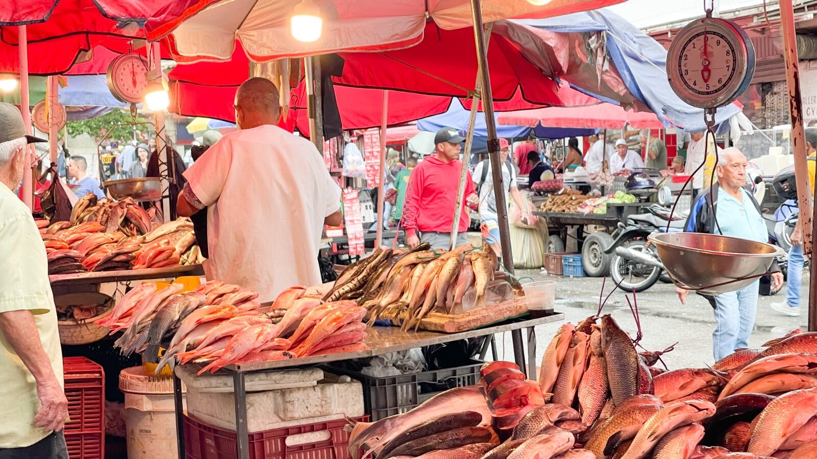 cómo comprar pescado fresco