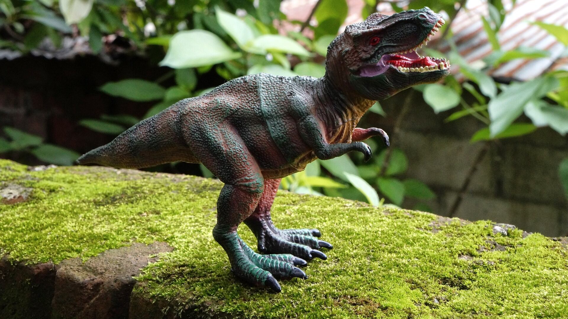 T-rex de brinquedo