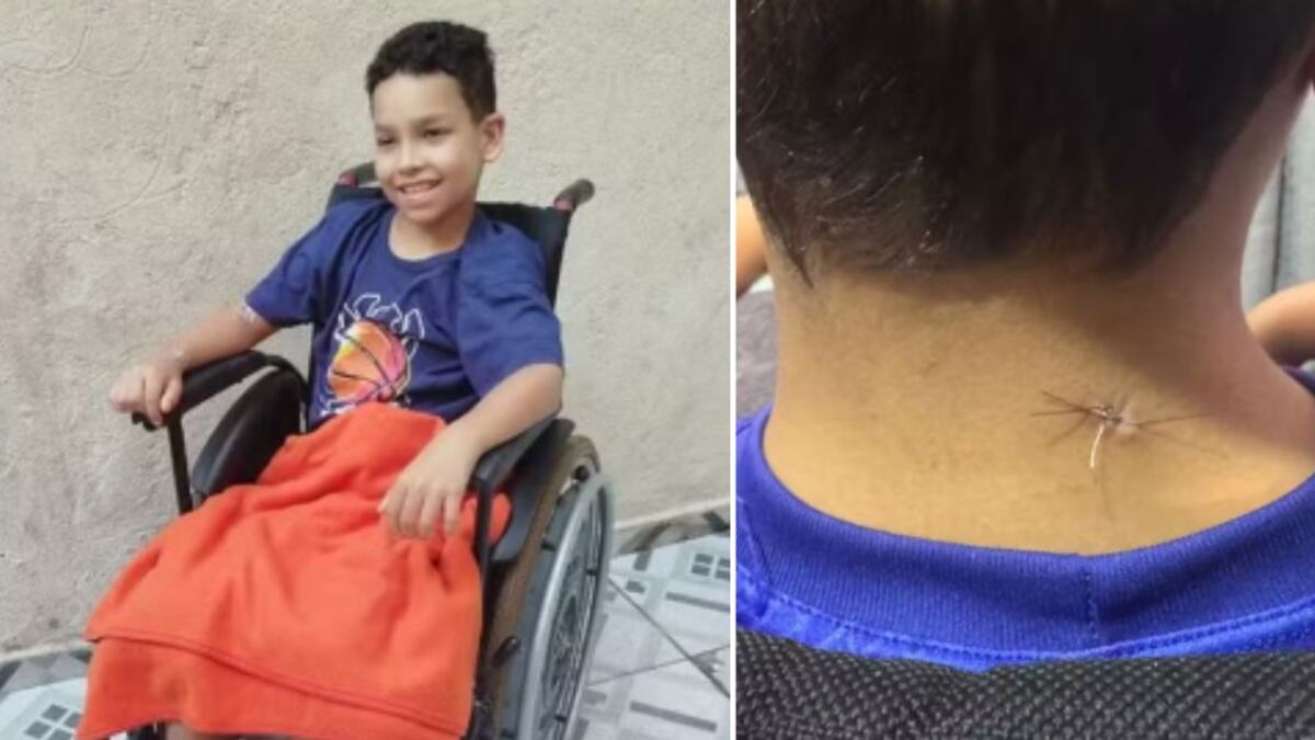 Polícia ainda apura quem efetuou disparo, mas até agora ninguém foi preso.