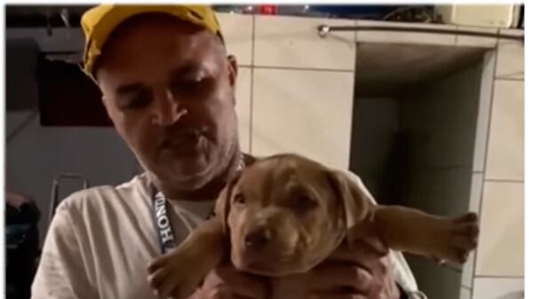 Bethoven com a barriga inchada de comida