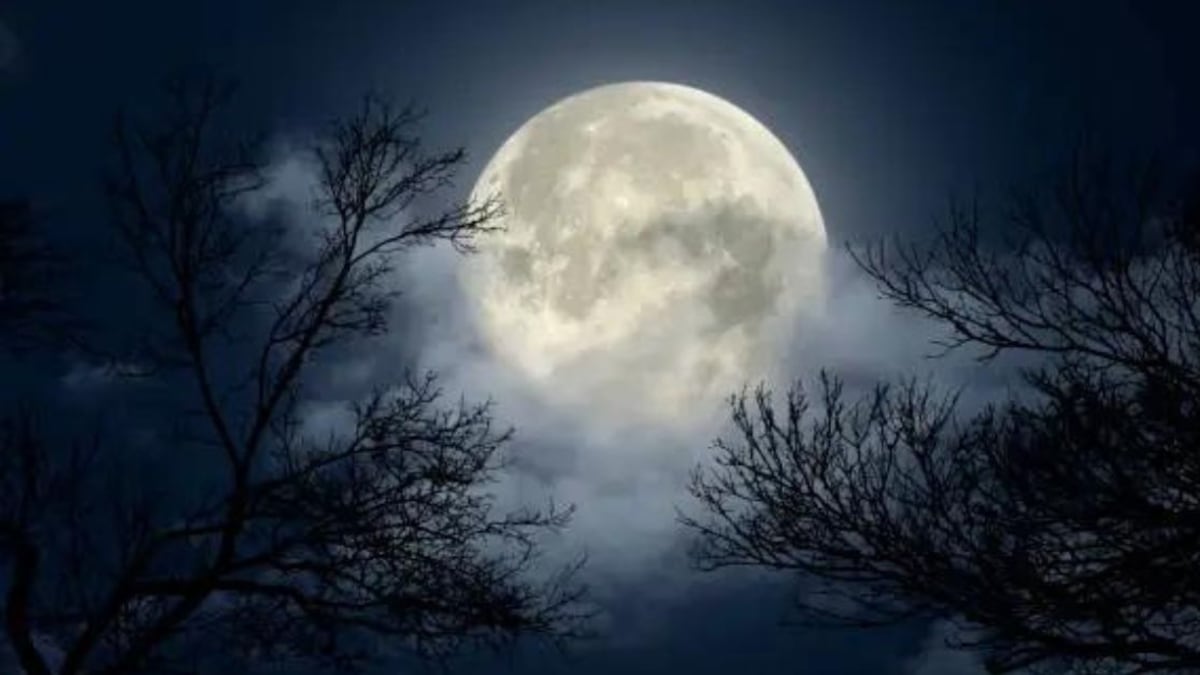 Los tres signos mas beneficiados con el brillo de la Superluna de Cosecha