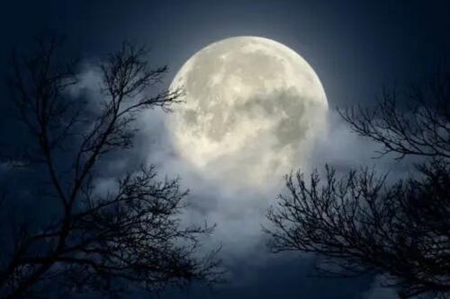 Lua do Caçador 2024: conheça os detalhes desse fenômeno astronômico do mês de outubro