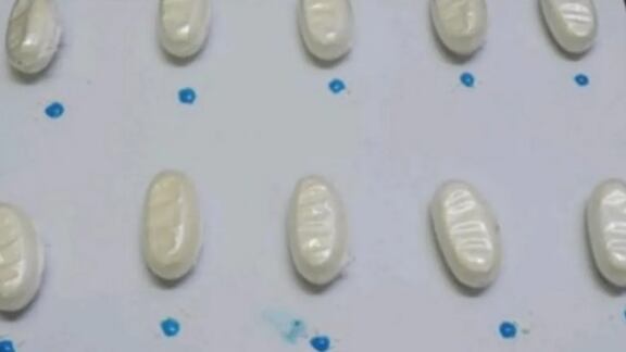 Ela foi flagrada após investigação