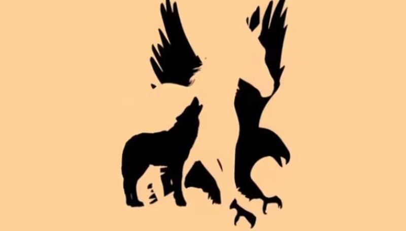 Imagen del test visual