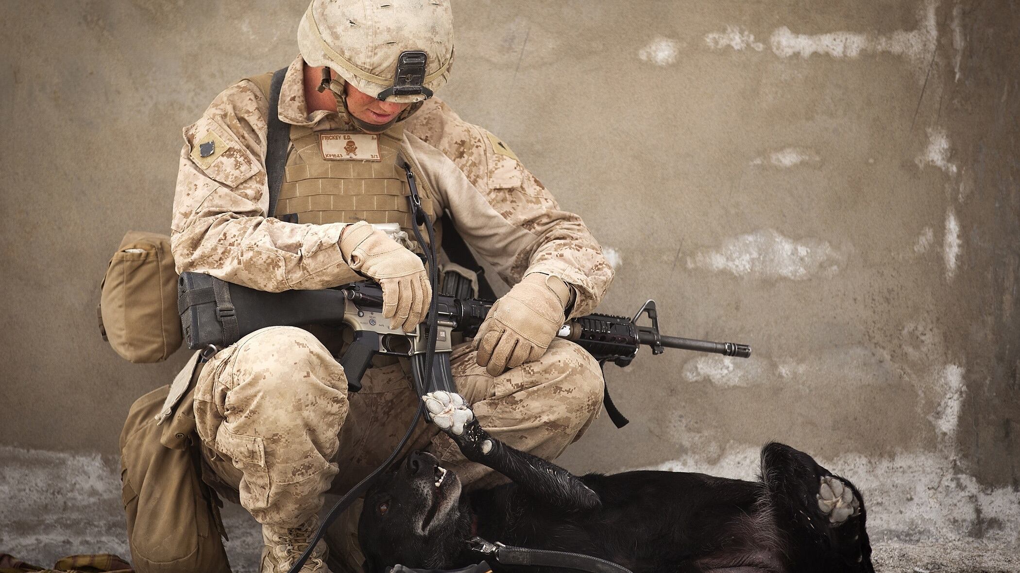 Soldado do exército dando carinho em cachorro