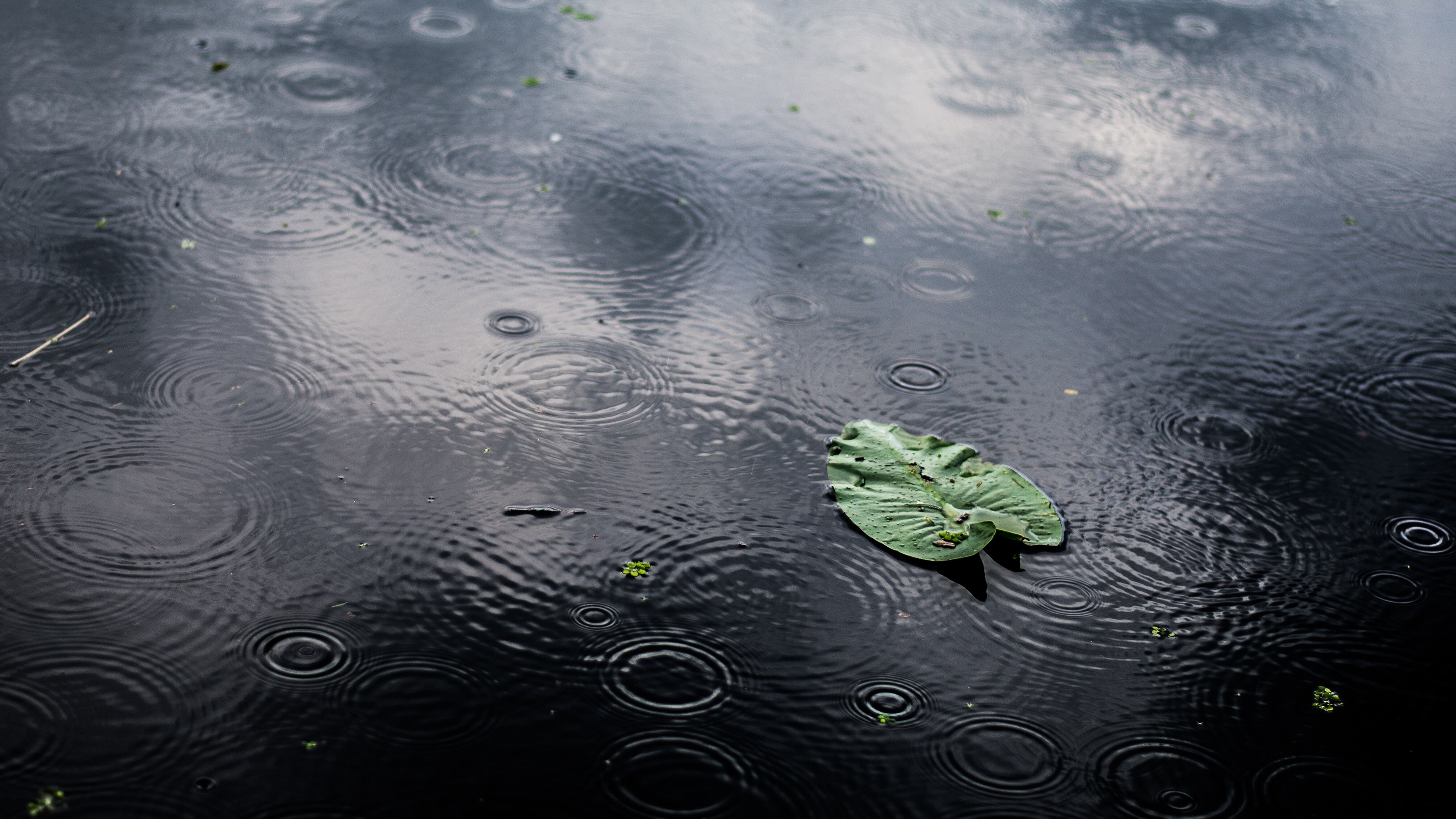 Veja como se pode evitar doenças em época de enchentes