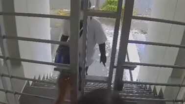 Vídeo impressionante