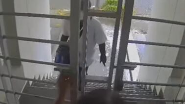 Vídeo impressionante