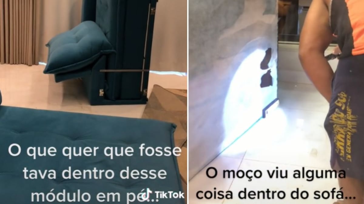 Mulher descobre animal dentro de seu sofá e viraliza