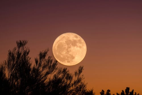 Lua Cheia mais poderosa do ano chega com grandes transformações