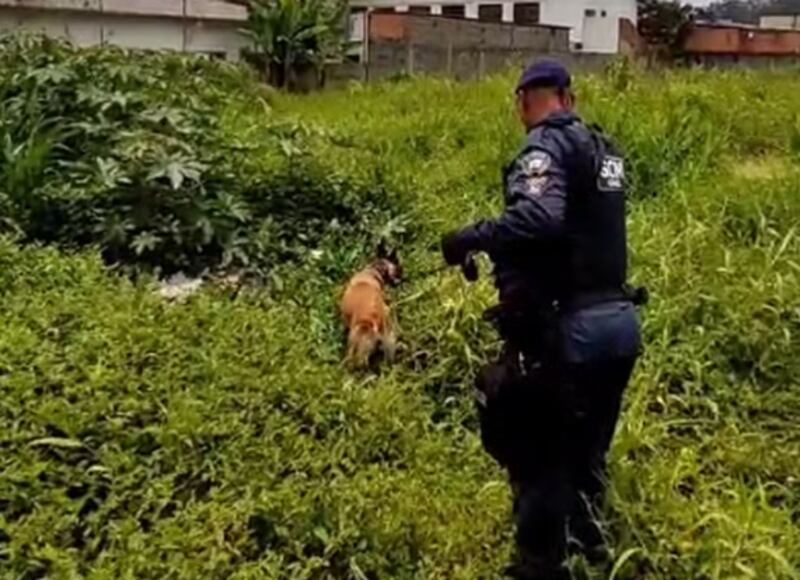 Tio e companheiro foram presos suspeitos pelo crime