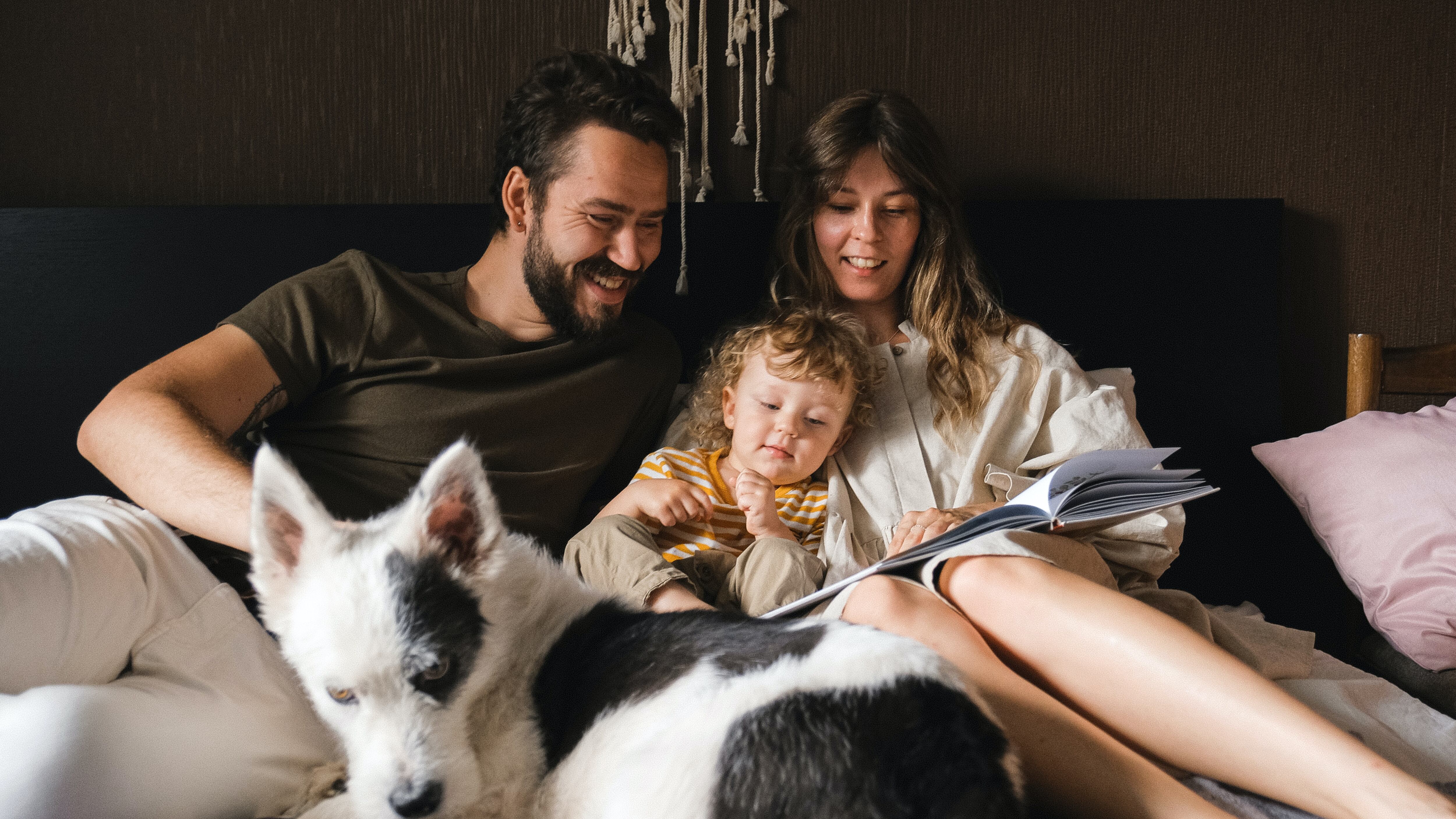 Família reunida na cama com cão