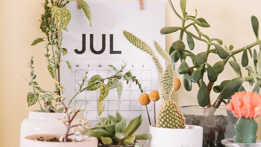 Horóscopo mensal: as previsões para os signos em julho de 2022