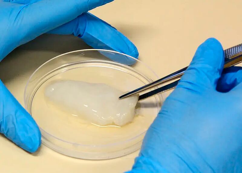 Carne de frango cultivada