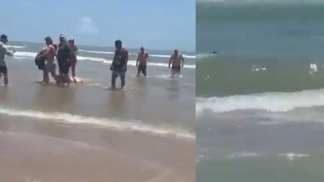 Vídeo: tubarão ataca 4 pessoas em praia dos EUA