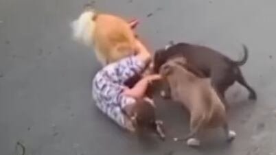 Ataque aconteceu em Santos