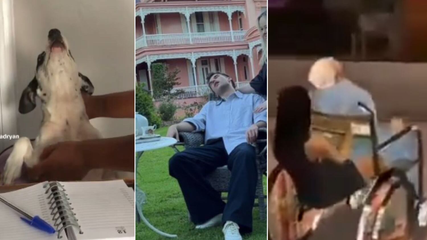 Idoso foi levado a banco sem vida, segundo a polícia