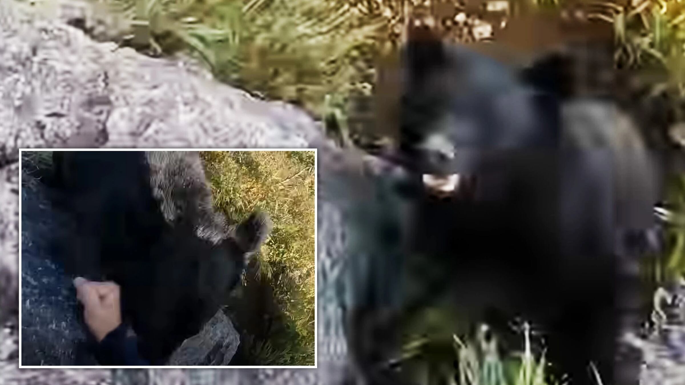 Momento aterrorizante