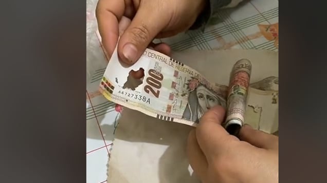 Jovem tem terrível surpresa ao descobrir que ratos ‘comeram’ todas suas economias