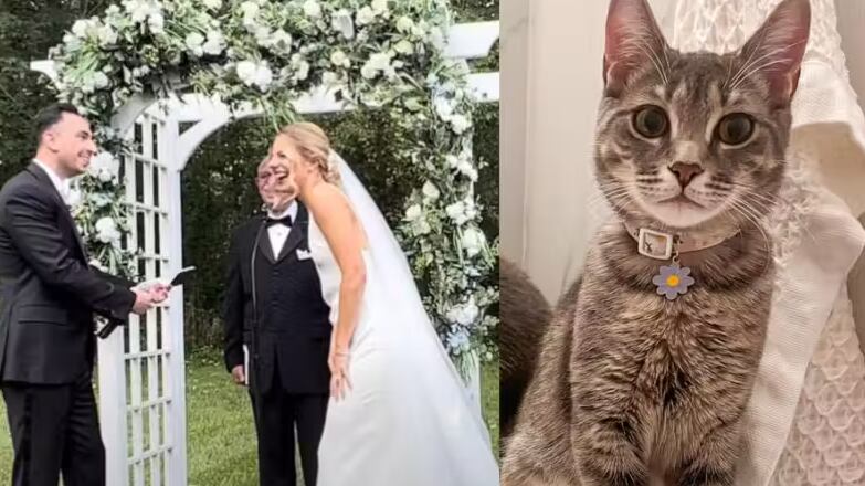 Foto: Matt e Cara Hamdan