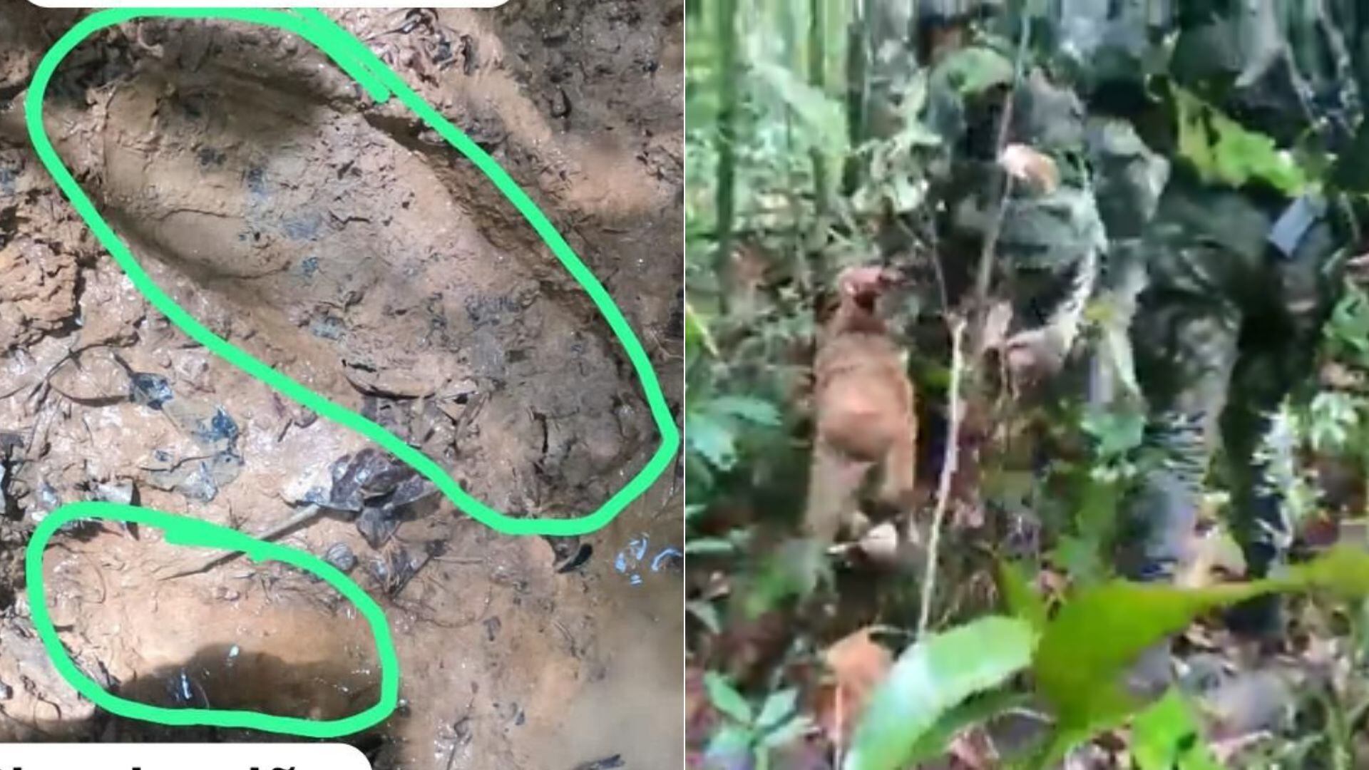 Fuerzas Militares de Colombia