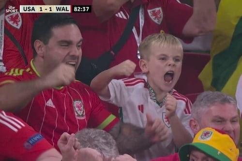 Copa do Mundo: Pequeno torcedor viraliza com reações durante jogo