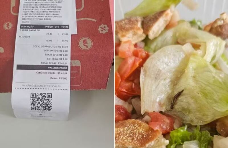 Ela registrou fotos e vídeos após encontrar um inseto em sua salada