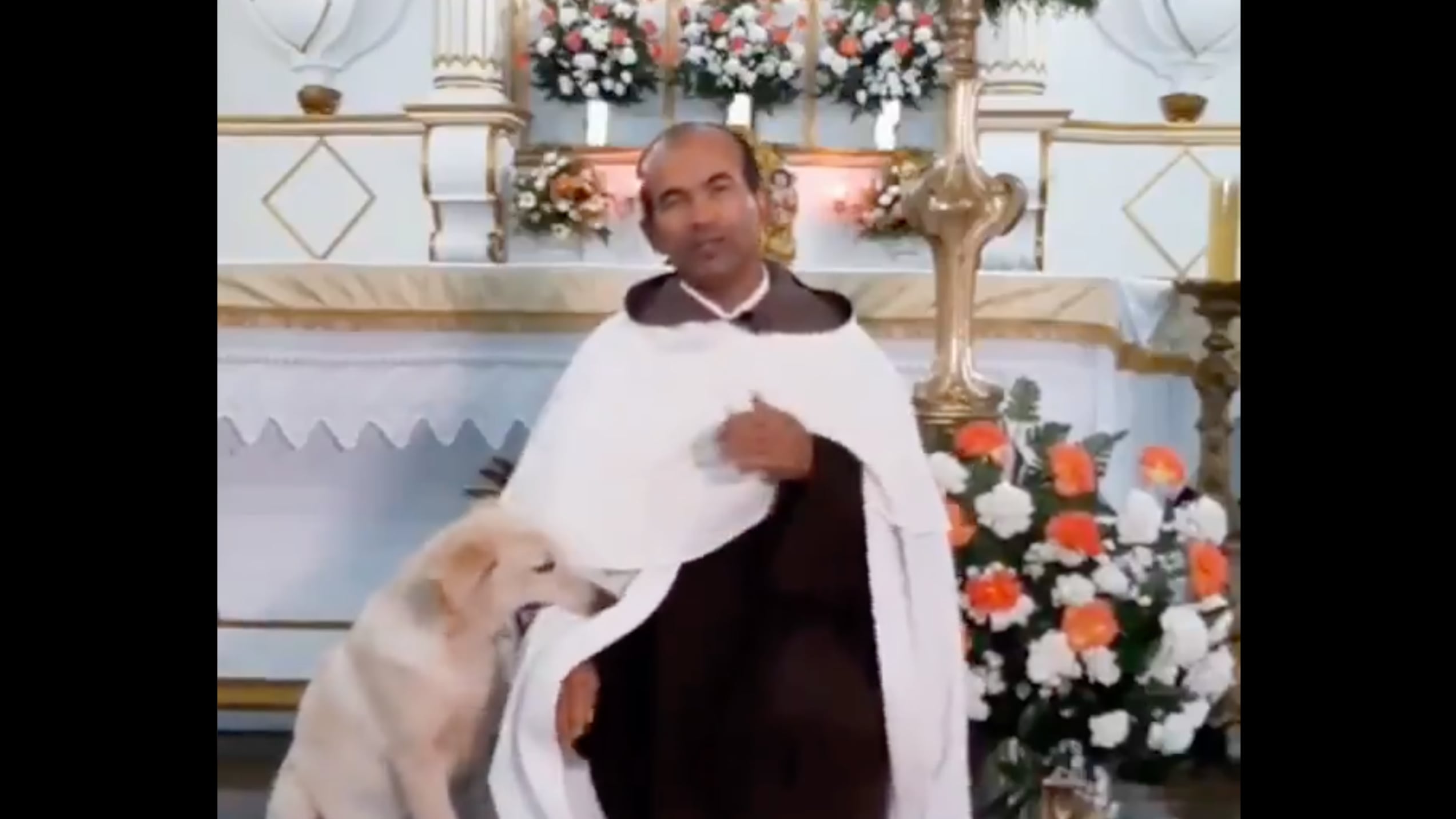 Vídeo registra cachorro atrevido 'atacando’ padre durante missa e gravação se torna viral nas redes: ‘ cãoroinha'